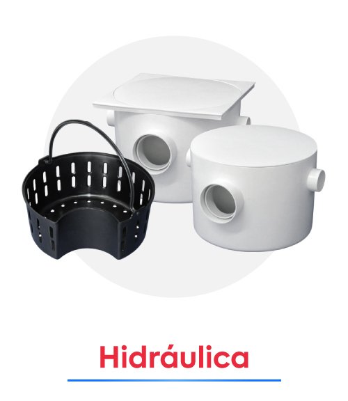 categoria 4